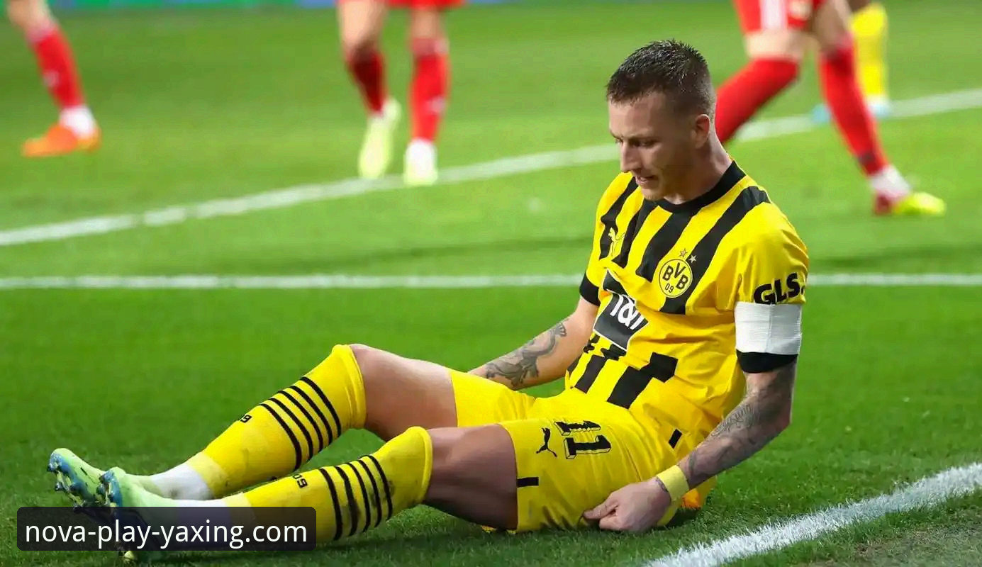 阿根廷新星重伤无缘世界杯，如何在亚星娱乐平台深度解析其战术影响？